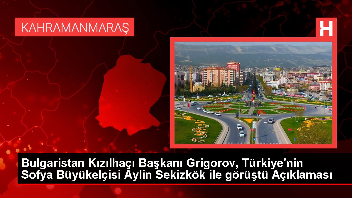 Bulgaristan Kızılhaçı Başkanı Grigorov, Türkiye'nin Sofya Büyükelçisi Aylin Sekizkök ile görüştü Açıklaması