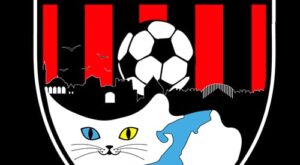 Vanspor’dan Hakem Ferhan Kestanlıoğlu Hakkında Suç Duyurusu