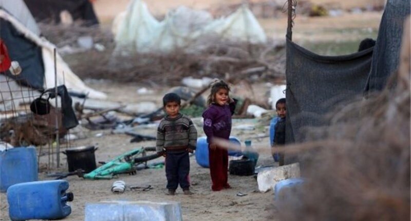 Gazze’de Salgın Alarmı: Kemirgen Tehdidi Halk Sağlığını Tehdit Ediyor