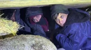 Kars’ta Saman Yüklü Kamyonette Göçmen Kaçakçılığı: 1 Tutuklama