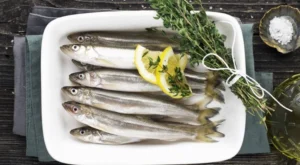 Hamsinin Peşindeki Balıkçıların Yeni Rotası İğneada Oldu