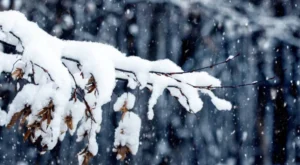 Sivas, Kayseri ve Yozgat’ta Kuvvetli Kar Yağışı Bekleniyor