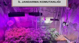 Çanakkale’de Jandarma’dan Uyuşturucu Operasyonu: 15 Baskın, 2 Tutuklama