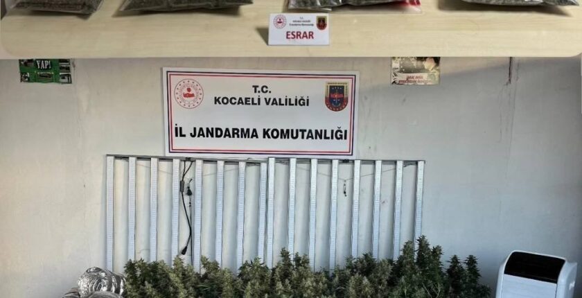 Kocaeli’de İklimlendirmeli Uyuşturucu Seralarına Darbe