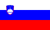 Slovenya’da Halk Genel Seçimler İçin Sandık Başında
