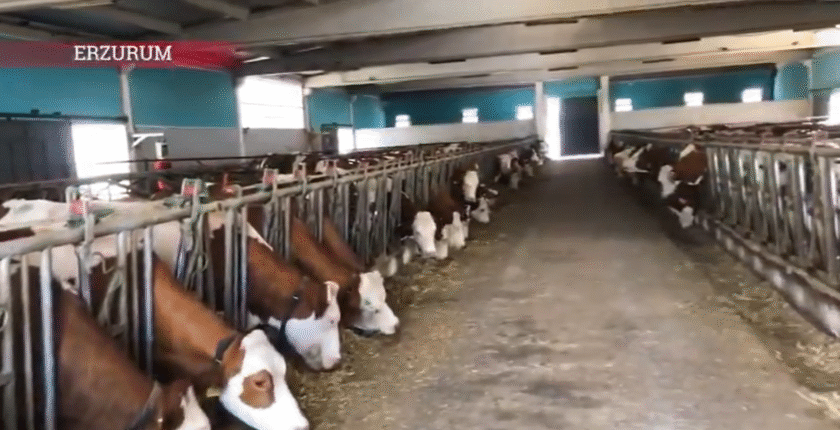 Erzurum’un Kırsal Kalkınmasına TKDK’dan 3,38 Milyar TL’lik Dev Yatırım