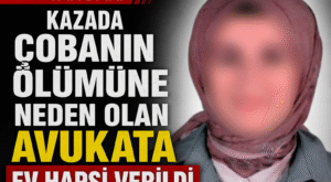 Kazada çobanın ölümüne neden olan avukata ev hapsi verildi