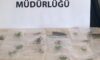 Adıyaman’da Çekirge Toplayan 3 Yabancı Uyruklu Şahsa 2 Milyon 97 Bin Lira Ceza