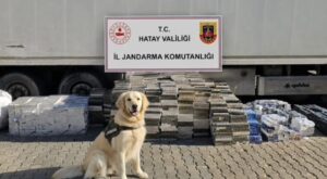 Kırıkhan’da Kaçak Sigara Operasyonu