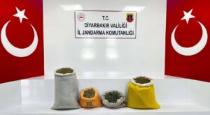 Diyarbakır’da Uyuşturucu Operasyonu: 144 Kilogram Toz Esrar Ele Geçirildi